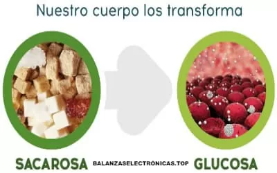 imagen de diferencias entre sacarosa y glucosa